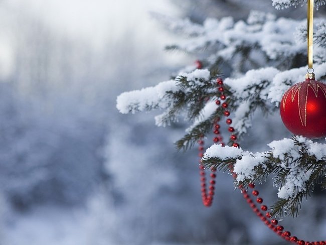 Новосибирск ждет теплый и снежный Новый год